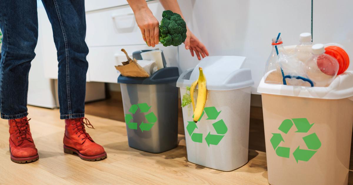 How to Handle Waste Segregation Effectively?
